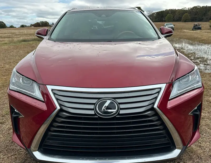 2017 Lexus RX350 photo 2